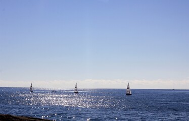 yachts sail in the blue waters of the black sea