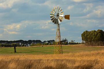 Sunlit windmill in a paddock in country Victoria, Australia. - obrazy, fototapety, plakaty