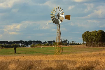 Foto op Plexiglas Sunlit windmill in a paddock in country Victoria, Australia. © Kathryn