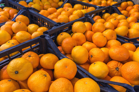 Oranges In Boxes At The Open-air Market Or At The Wholesale Depot Of Exotic Fruits. Local Produce At The Farmers' Market.