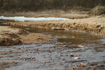 Creek on the sandy beach