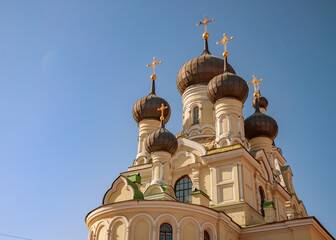 Fototapeta na wymiar A large image of the black domes of the church of Shestakov icon of God's mother of the Georgian parish in St. Petersburg