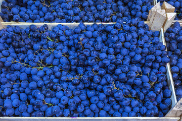 Ripe grapes in wooden boxes. Local produce at the autumn farmers' market.
