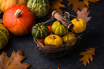 Various decorative pumpkins. Autumn concept