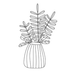 Spruce branches in a striped vase. Christmas tree twigs bouquet in doodle sketch style. Vector hand drawn  illustration on white background. Isolated black outline.
