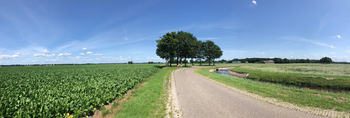 Farmland panorama and road around Rheezerveen