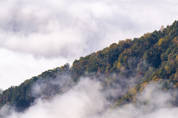 雲海と紅葉する森　秋の風景