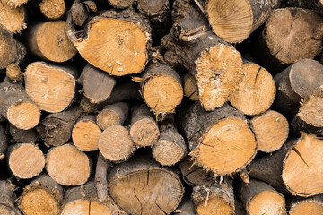 A pile of wooden logs neatly stacked, ready for winter