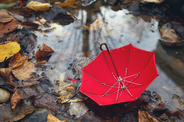 Red umbrella in a poddle with autumn fall leaves. Autumn concept