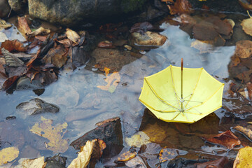 Yellow umbrella in a poddle with autumn fall leaves. Autumn concept