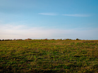 Obraz premium Hill landscape with green grasses on blue cloudy sky backgrounds