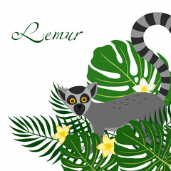 A poster with the face of the lemur and tropical palm leaves.