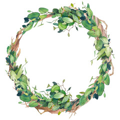 Watercolor greenery arrangenment. Eucalyptus branches and tree leaves wreath. Hand painted floral clip art: round frame isolated on white background.