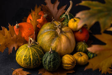 Various decorative pumpkins. Autumn concept