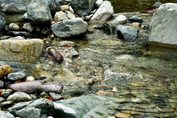 Water flowing into the river