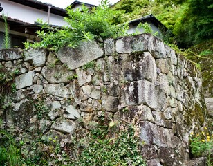 Stone wall with grass in Japan.