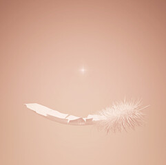 white feather and star
