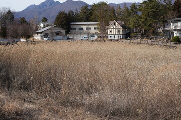 河口湖周辺の家屋と畑