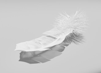 white feather on the floor