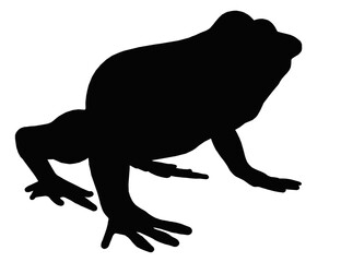Silhouette mit einem Frosch