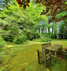 Fototapete bei efototapeten.de bestellen   