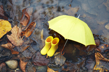 Yellow umbrella and rubber boots in a poddle with autumn fall leaves. Autumn concept