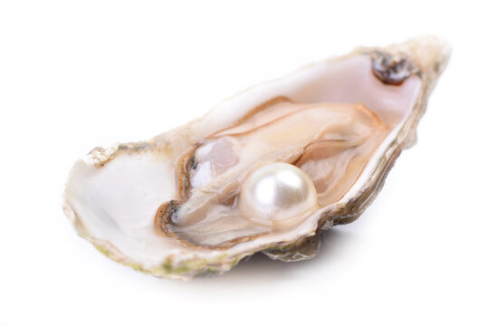 Pearl in a shell on a white background
