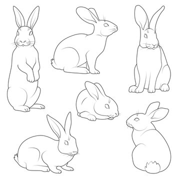 rabbits set black and white illustration for coloring