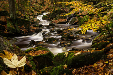 Flowing river in autumn