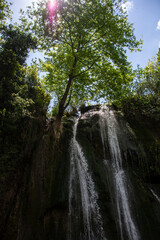 Fototapeta premium waterfall in the forest