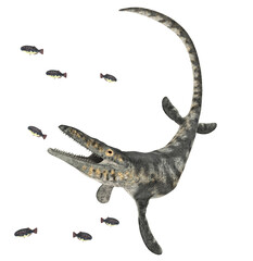 Mosasaurier Tylosaurus auf der Jagd, Freisteller