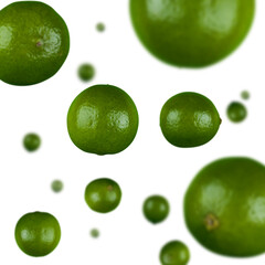 Many limes free falling on white background. Selective focus - shallow depth of field.