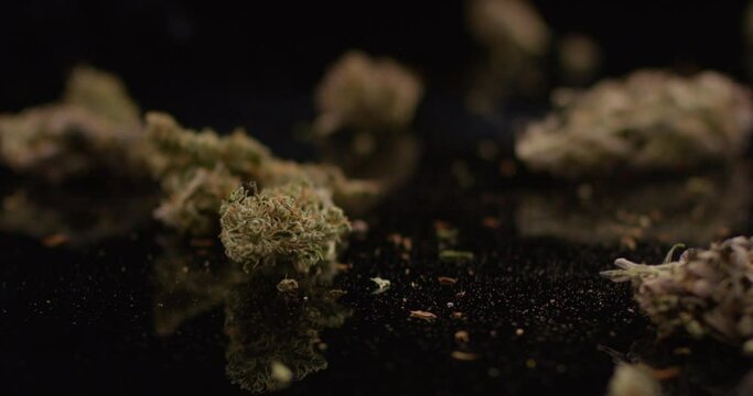 Cannabis Buds falling with fire flames on black background. Dried weed Plant closeup in slow motion.