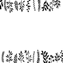 frame with leaves. Organic white black tea shop label template. Botanical illustration. Vintage style. Black and white.