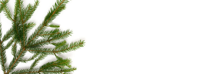 Banner with fir branch on a white background. Nature eco concept with place for your design.