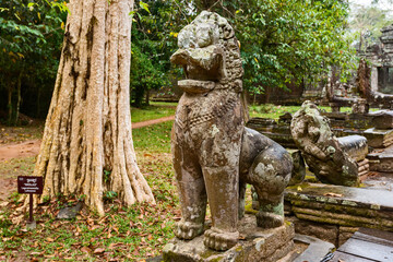 lion stairway of the ceremonial terrace in Preah Khan temple, Khmer ruins in Angkor Thom,   in Siem Reap Cambodia