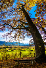 Obraz premium landscape at Murnau am Staffelsee - bavaria