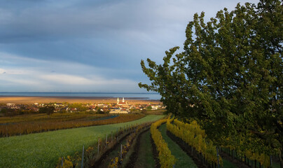View of Village of Rust on lake Neusiedlersee in Burgenland