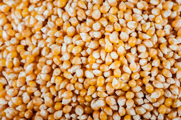 Arrière plan naturel nourriture - Grains de maïs secs