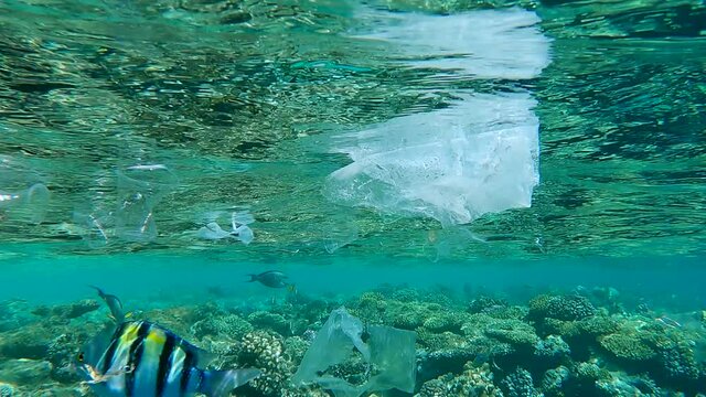 A lot of plastic and other debris slowly drifts under surface of the water tropical fish swim around it, on background is beautiful coral reef. Plastic garbage environmental pollution problem.  
