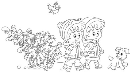 Happy little kids carrying a snowy fir tree on a small sled to decorate it to Christmas, black and white outline vector cartoon illustration for a coloring book page