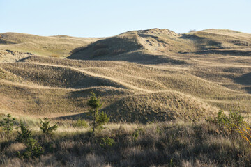 Sandy Grey Dunes at the Curonian Spit in Lithuania