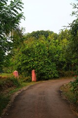 Beautiful street in the village. Sunset. Maharashtra state. India.