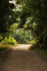 Beautiful street in the village. Sunset. Maharashtra state. India.