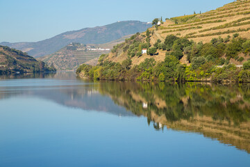 Fototapeta na wymiar Douro Valley and river