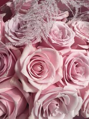 pink roses bouquet