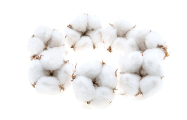 cotton bud isolated