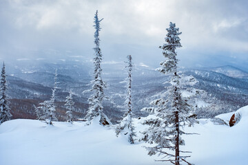 View of ski resort Sheregesh from Utya mountain. Snowdrifts and snow-covered trees in fluffy snow, sky in clouds.