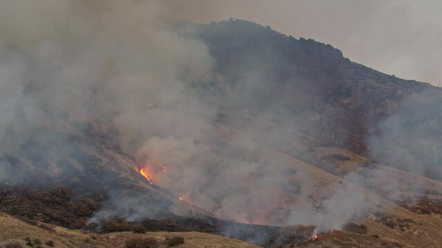 Fire burning in the Utah wilderness up mountain during dray Fall season.