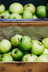 Délicieuses pommes vertes du jardin dans des caisses en bois